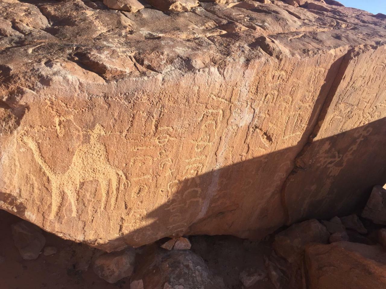 Friend Wadi Rum Exterior foto