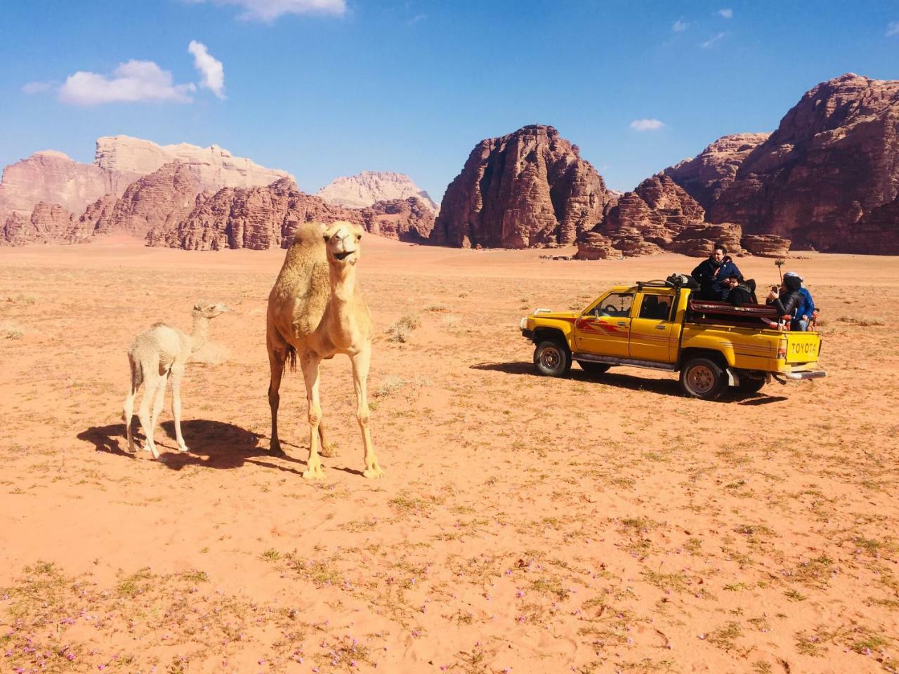 Friend Wadi Rum Exterior foto